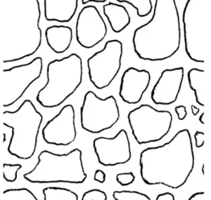 polygonverband-1-400x380